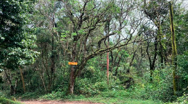 ÁREA DE TERRAS COM 3460 M² EM IBIÚNA/SP